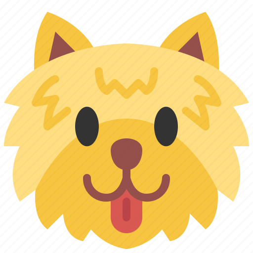 Pomeranian, dog, breed, pet, puppy, animal, cute icon - Download on Iconfinder