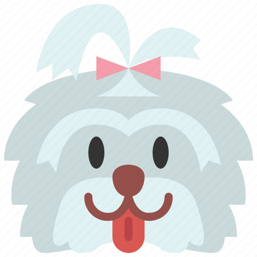 Shih tzu, dog, breed, pet, puppy, animal, cute icon - Download on Iconfinder