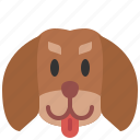 dachshund, dog, breed, pet, puppy, animal, cute