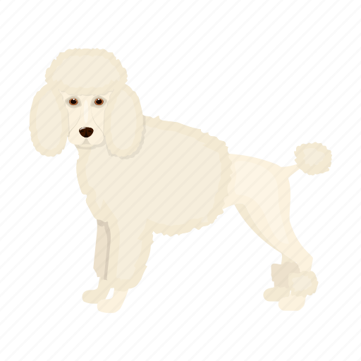 Animal, breed, dog, mammal, pet, poodle icon - Download on Iconfinder