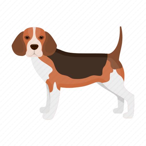 Animal, beagle, breed, dog, mammal, pet icon - Download on Iconfinder