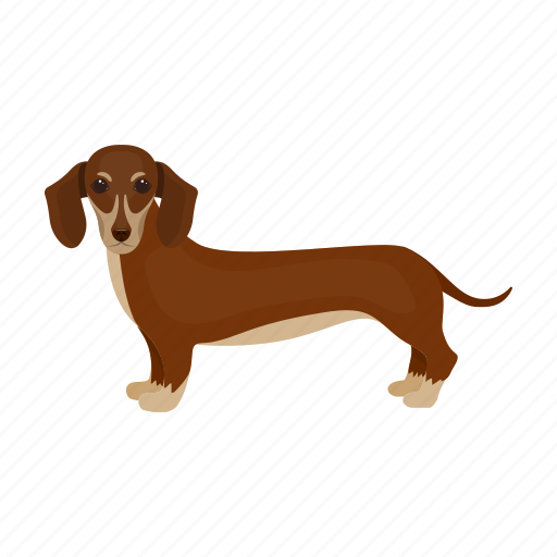 Animal, breed, dachshund, dog, mammal, pet icon - Download on Iconfinder