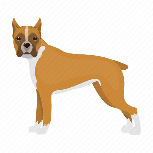 Animal, breed, dog, mammal, pet, pug icon - Download on Iconfinder