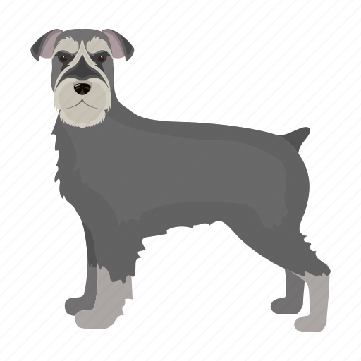 Animal, breed, dog, giant schnauzer, mammal, pet icon - Download on Iconfinder