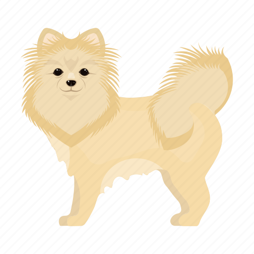 Animal, breed, dog, mammal, pet, spitz icon - Download on Iconfinder
