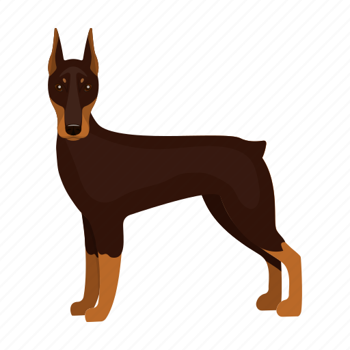 Animal, breed, doberman pinscher, dobermann, dog, mammal, pet icon - Download on Iconfinder