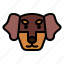 dachshund, dog, pet, animals, breeds 