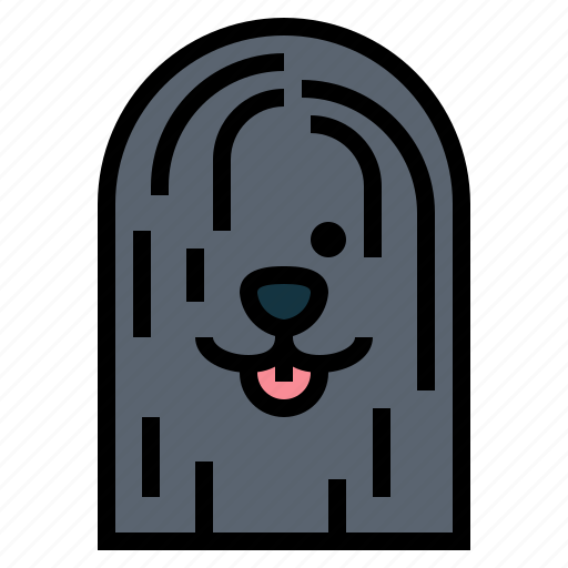 Puli, dog, pet, animals, breeds icon - Download on Iconfinder