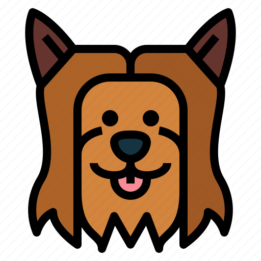 Yorkshire, terrie, dog, pet, animals, breeds icon - Download on Iconfinder