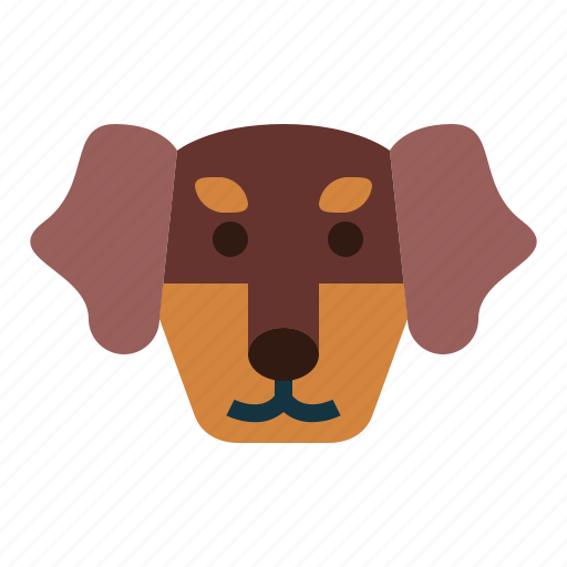 Dachshund, dog, pet, animals, breeds icon - Download on Iconfinder