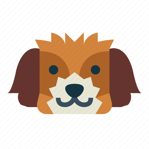 Shih, tzu, dog, pet, animals, breeds icon - Download on Iconfinder