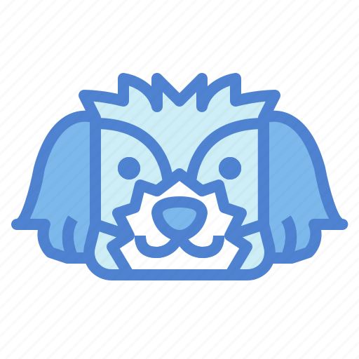 Shih, tzu, dog, pet, animals, breeds icon - Download on Iconfinder