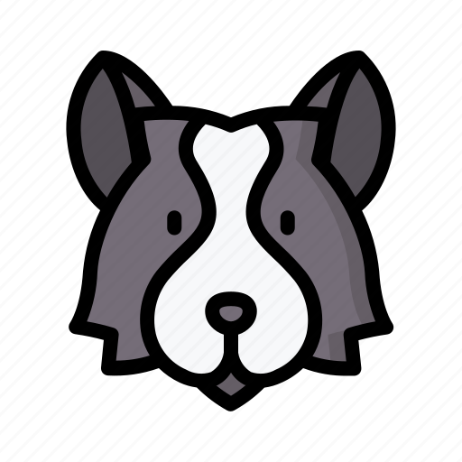 Border, collie, dog, animal, avatar, puppy icon - Download on Iconfinder