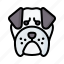 bulldog, dog, animal, avatar, puppy 