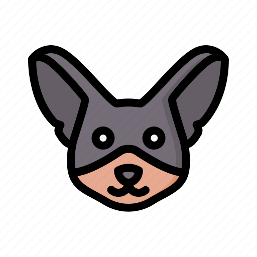Chihuahua, dog, animal, avatar, puppy icon - Download on Iconfinder