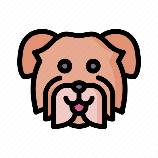 Havanese, dog, animal, avatar, puppy icon - Download on Iconfinder