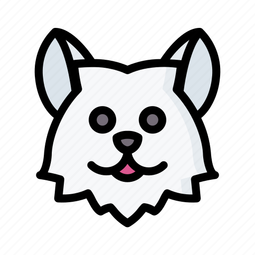 Pomeranian, dog, animal, avatar, puppy icon - Download on Iconfinder