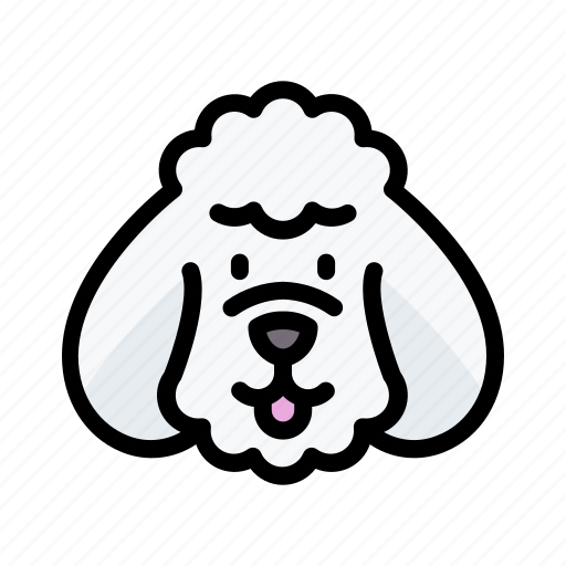 Puddel, dog, animal, avatar, puppy icon - Download on Iconfinder