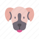 bernese, mountain, dog, animal, avatar, puppy
