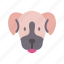 bernese, mountain, dog, animal, avatar, puppy 