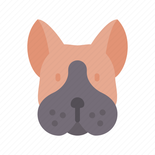 Boston, terrier, dog, animal, avatar, puppy icon - Download on Iconfinder