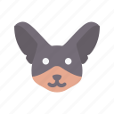 chihuahua, dog, animal, avatar, puppy