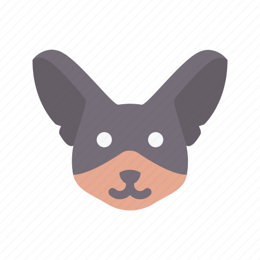 Chihuahua, dog, animal, avatar, puppy icon - Download on Iconfinder