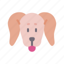 dachshund, dog, animal, avatar, puppy