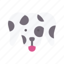 dalmatian, dog, animal, avatar, puppy