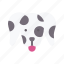 dalmatian, dog, animal, avatar, puppy 