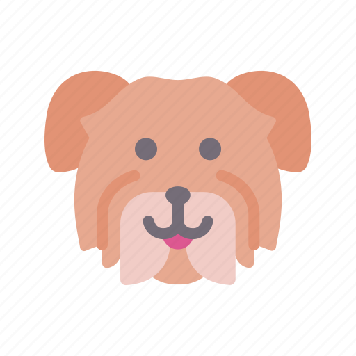 Havanese, dog, animal, avatar, puppy icon - Download on Iconfinder