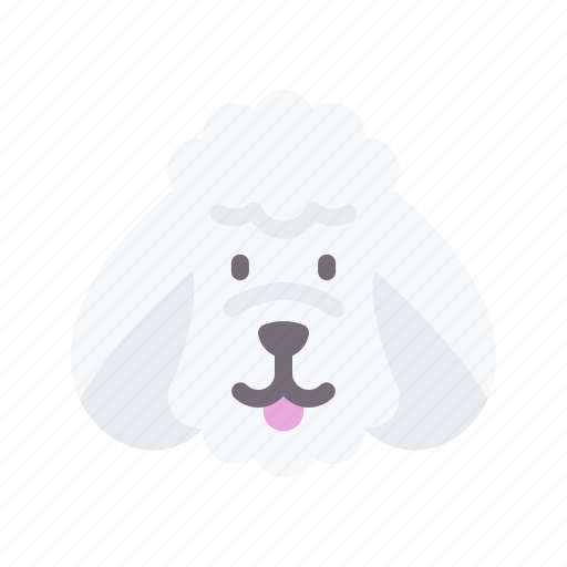 Puddel, dog, animal, avatar, puppy icon - Download on Iconfinder