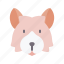 shetland, sheepdog, dog, animal, avatar, puppy 