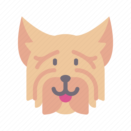 Yorkshire, terrier, dog, animal, avatar, puppy icon - Download on Iconfinder