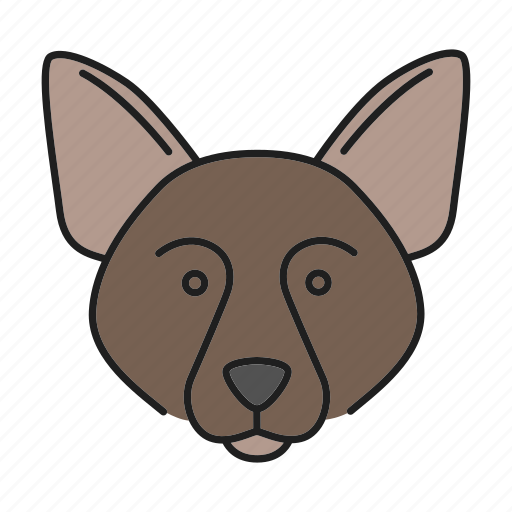 Border, breed, collie, dog, pet, scottish, sheepdog icon - Download on Iconfinder