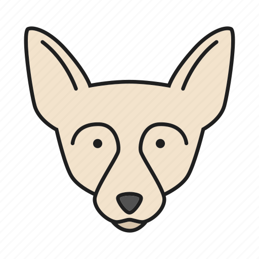 Animal, breed, chihuahua, dog, doggy, pet, puppy icon - Download on Iconfinder