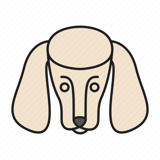 Animal, breed, dog, doggy, pet, poodle, puppy icon - Download on Iconfinder
