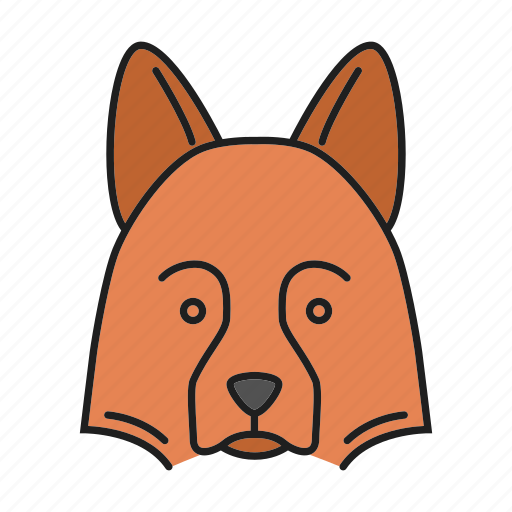Collie, dog, pet, puppy, sheepdog, sheltie, shetland icon - Download on Iconfinder