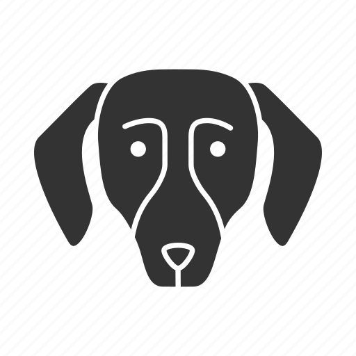 Animal, breed, dachshund, dog, hound, pet, puppy icon - Download on Iconfinder