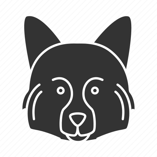 Breed, dog, german, hound, pet, puppy, spitz icon - Download on Iconfinder