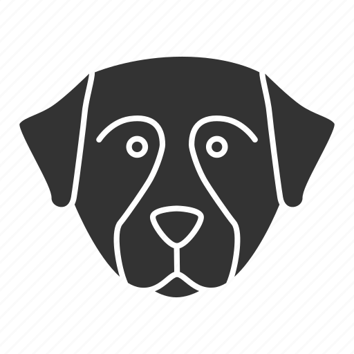 Berner, bernese, breed, dog, pet, puppy, sennenhund icon - Download on Iconfinder