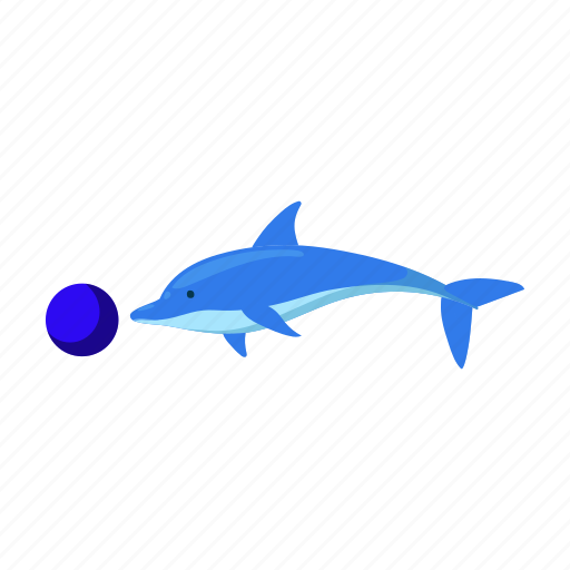 Animal, ball, dolphin, mammal, marine, show, wild icon - Download on Iconfinder