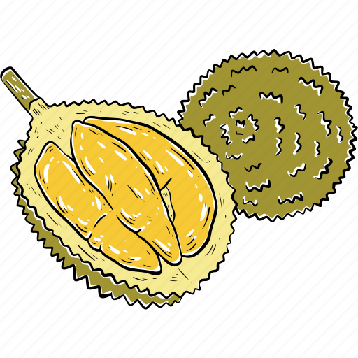 Durian icon - Download on Iconfinder on Iconfinder