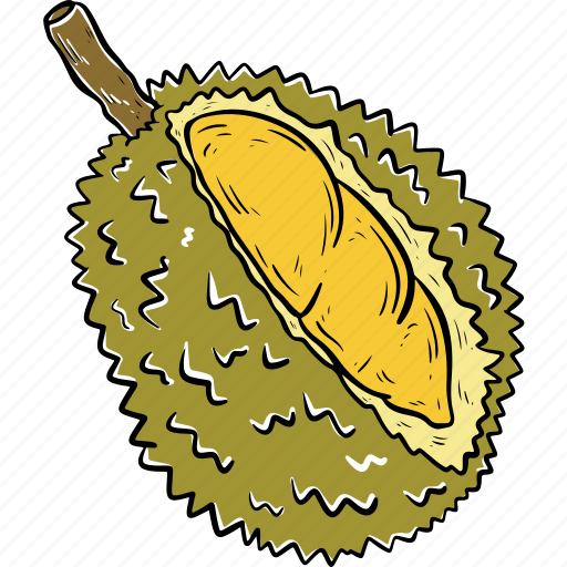 Durian icon - Download on Iconfinder on Iconfinder