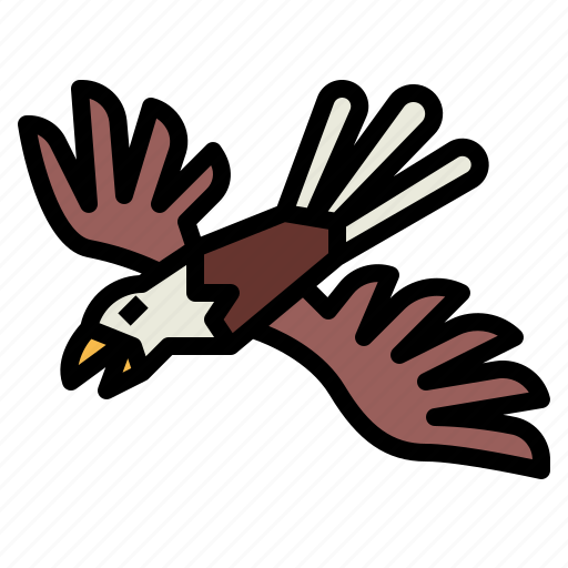 Eagle, hawk, bird, animal, kingdom, falcon icon - Download on Iconfinder