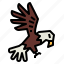 eagle, hawk, bird, animal, kingdom, falcon 