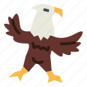 eagle, hawk, bird, animal, kingdom, falcon