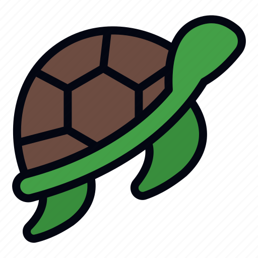 Turtle, animals, zoo, sea life, animal kingdom, aquatic, wild life icon - Download on Iconfinder
