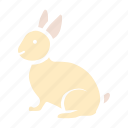animal, bunny, cute, easter, happy, rabbit