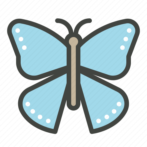 Butterfly, easter, eternal life, hope, insects, transformation icon - Download on Iconfinder